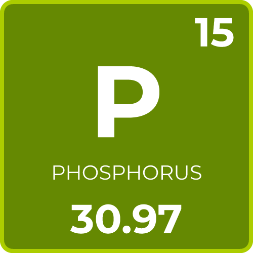 Phosphorus for Plants