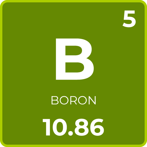 Boron for Plants