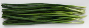 garlic chives can grow in hydroponics