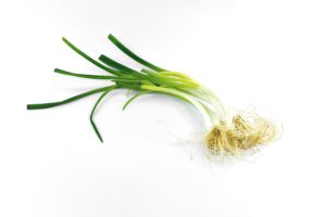clump of chives