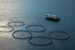 mariculture system