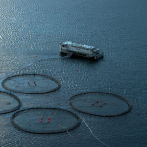mariculture